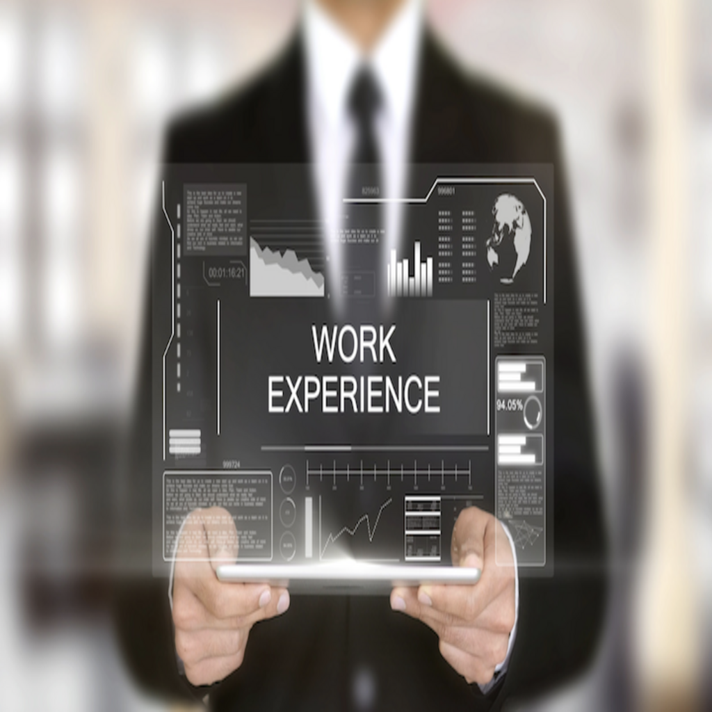 Work Experience (1)